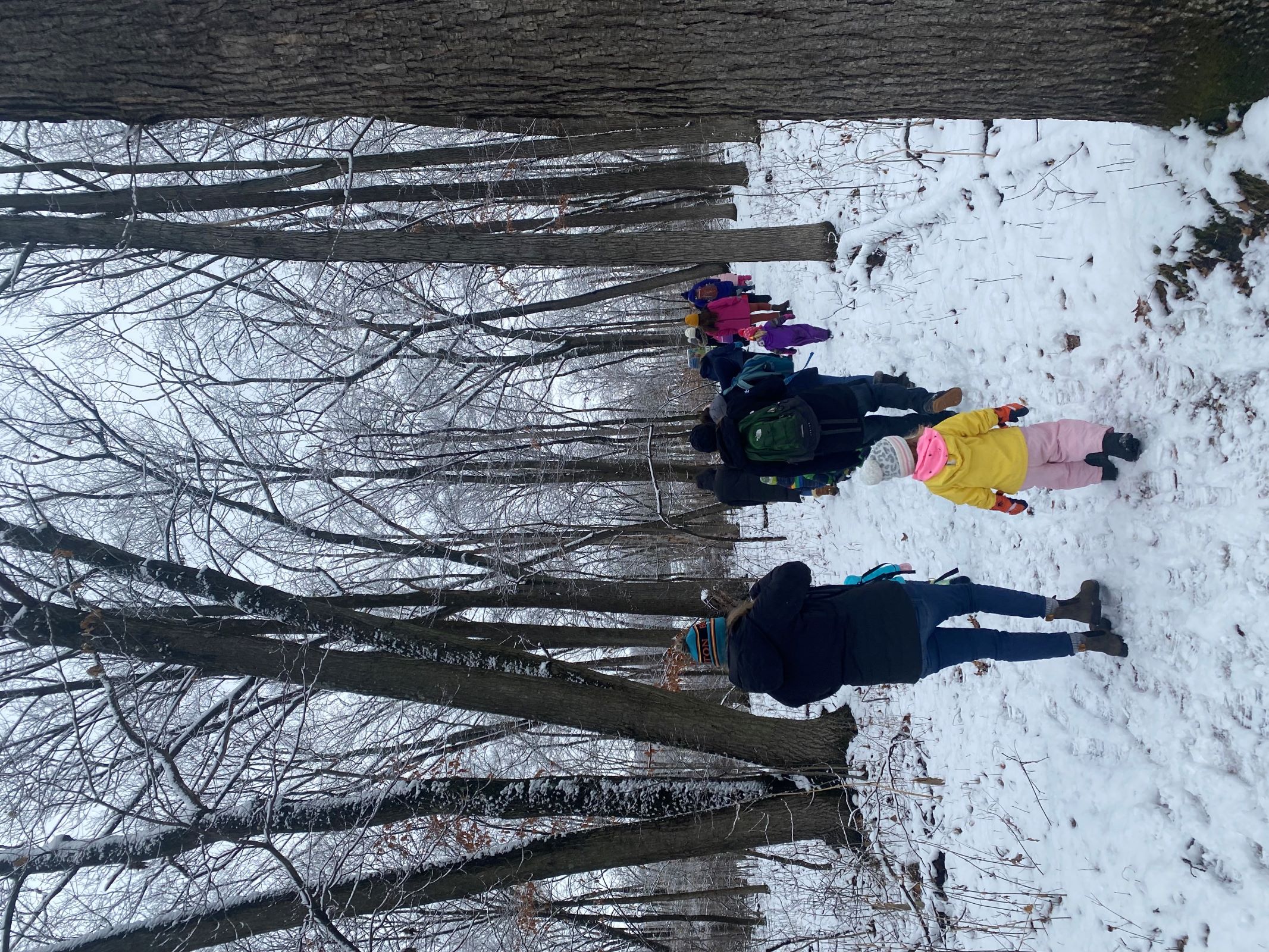 a small group of young children and adults take a walk through the Riveredge woods in winter with snow on the ground