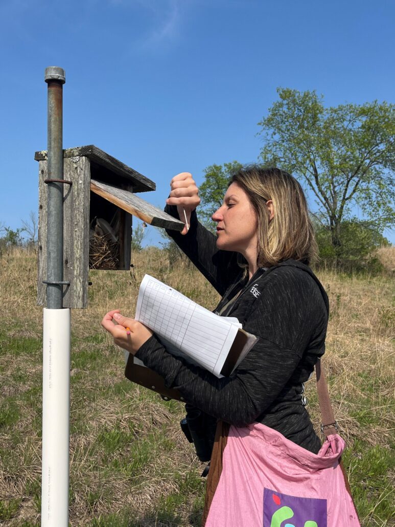 Jana, a white woman, holds a clipboard and looks in the top of a bird house in a Riveredge prairie