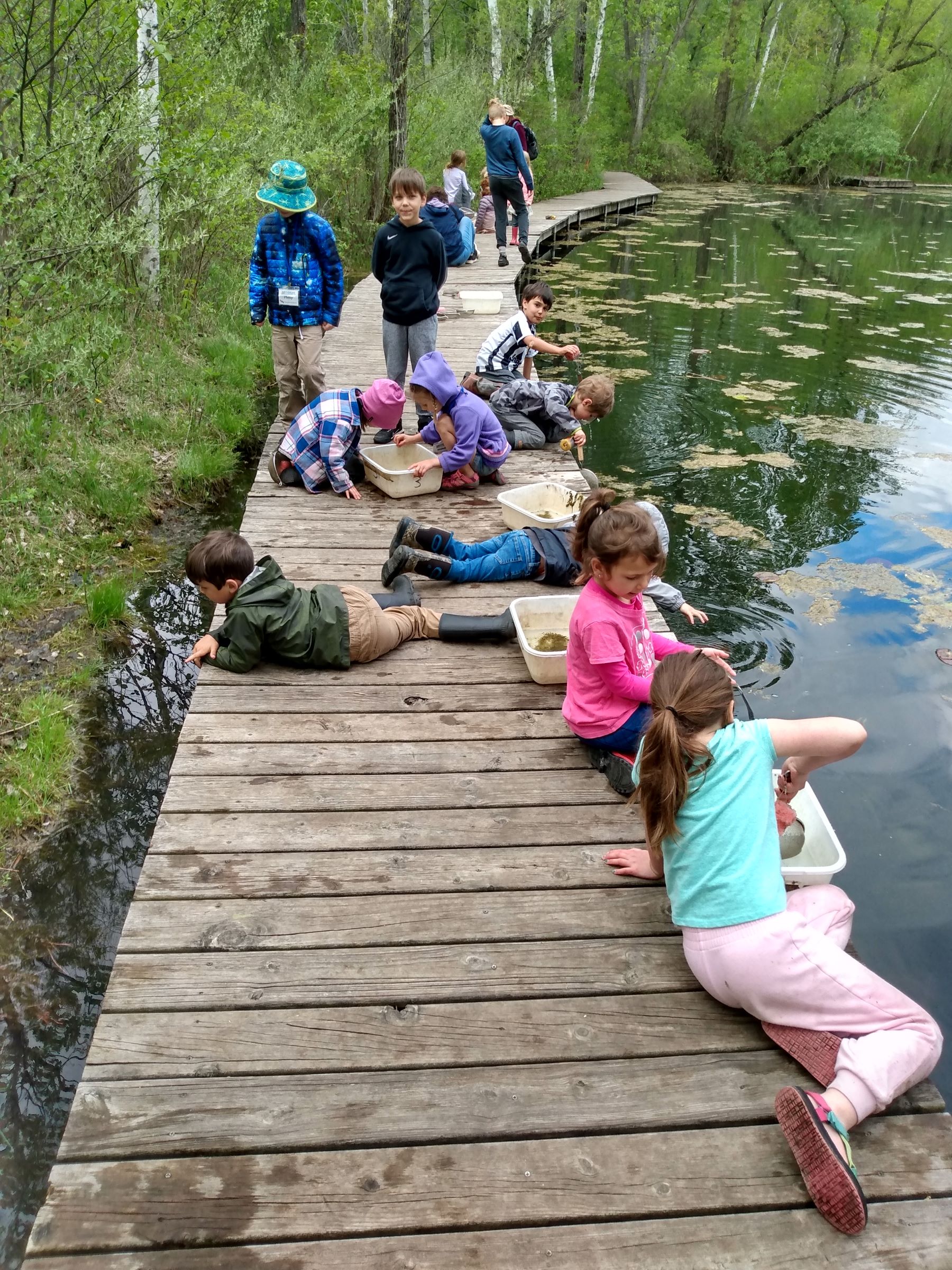 a small group of young kids on the Riveredge pond boardwalk looking for pond cirtters with scoop nets and buckets