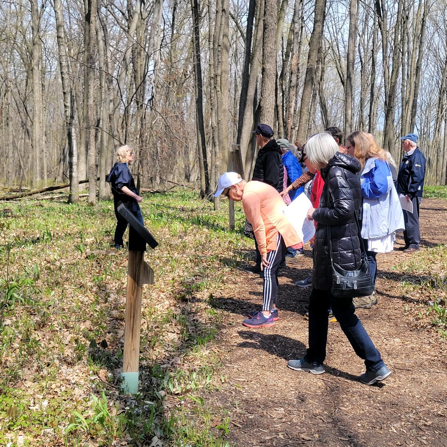 a group of older adults looking at early spring blooms on a forest trail