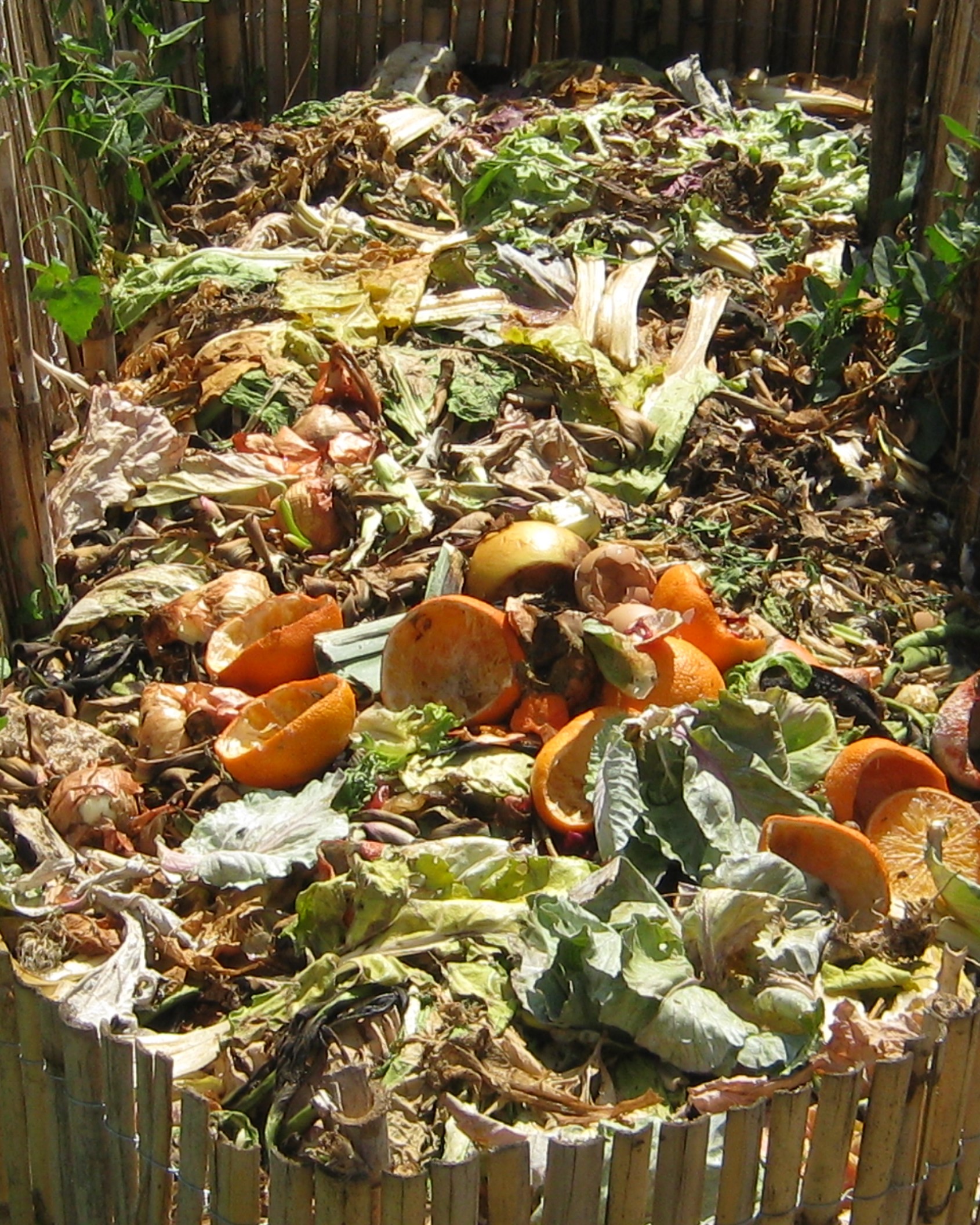 a backyard compost bin full of fruits, veggies, and yard waste