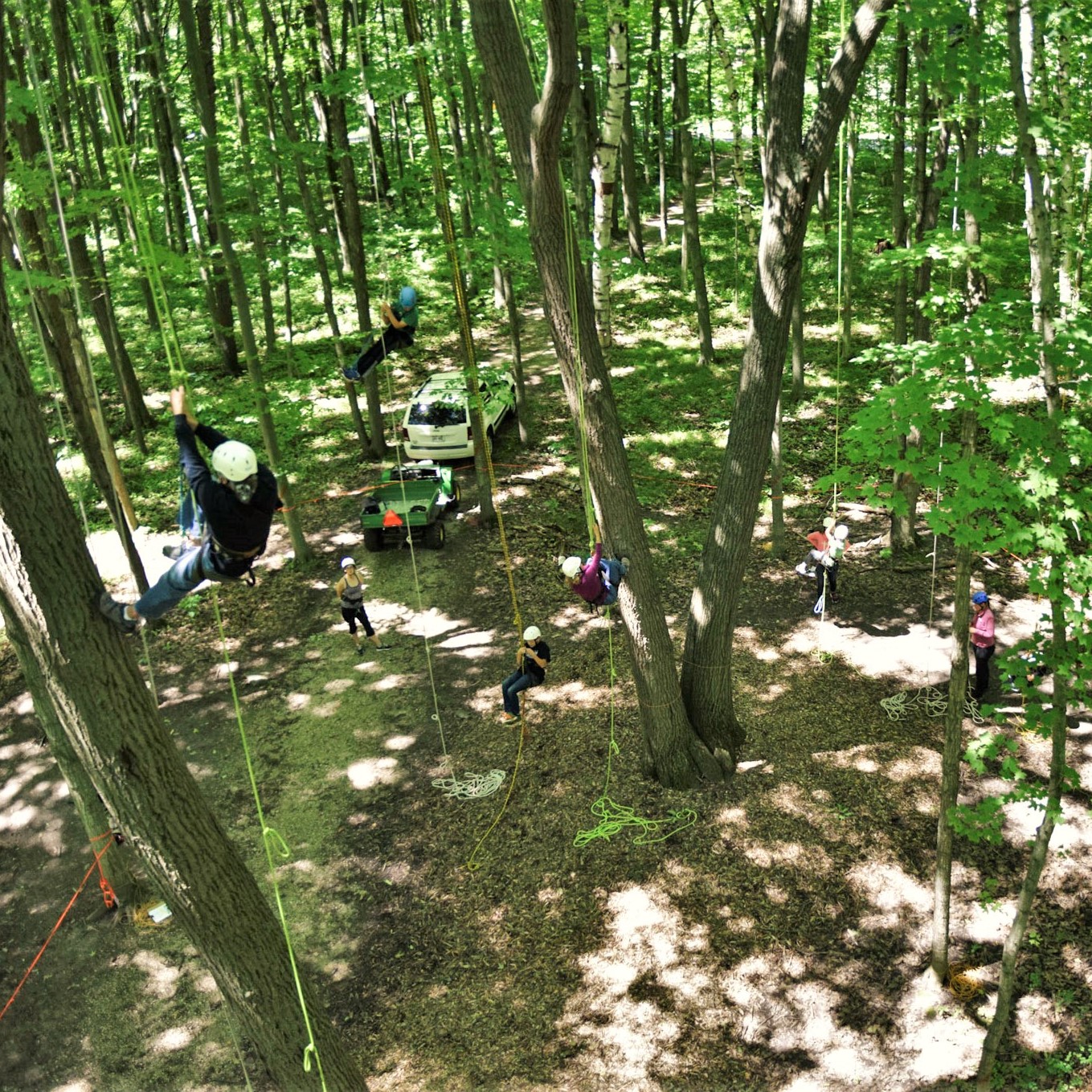 view from the treetops at Riveredge of a group of people tree climbing with ropes