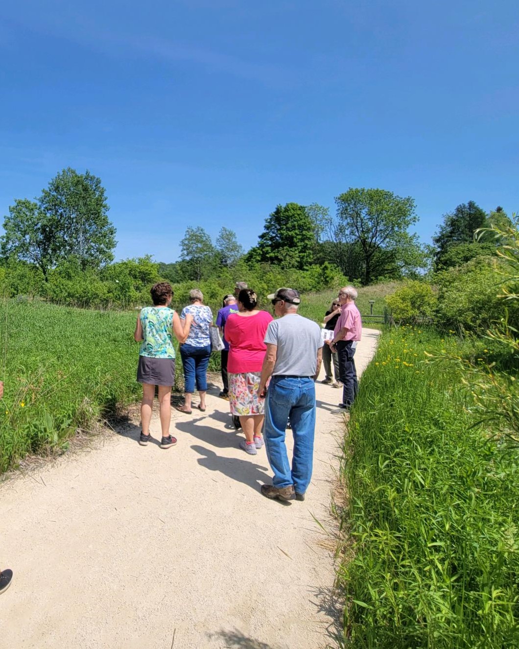 a group of older adults walking on a gravel trail through a prairie on a bright summer day